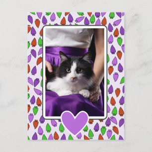 Carte Postale Chat aux lumières de Noël colorées 
