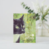 Carte Postale Chat aux Yeux Brillants (Debout devant)