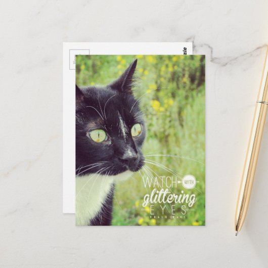 Carte Postale Chat aux Yeux Brillants (Devant/Arrière en situation)