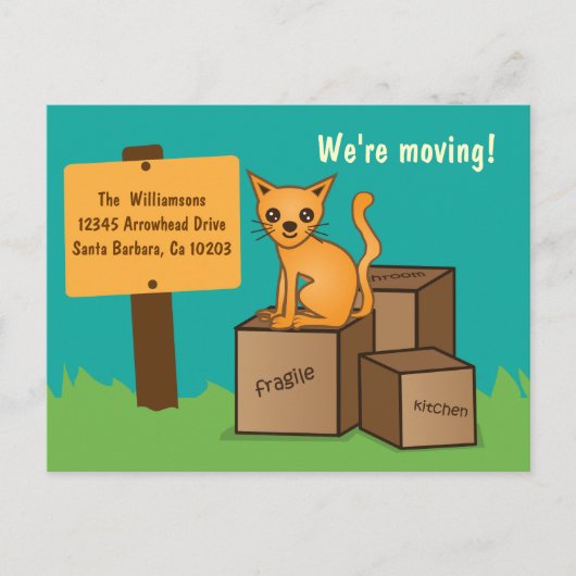 Carte postale - Chat avec des boîtes - Nous déména (Devant)