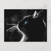 Carte Postale Chat avec éclairage rétro-éclairé Sympathie perte (Devant)