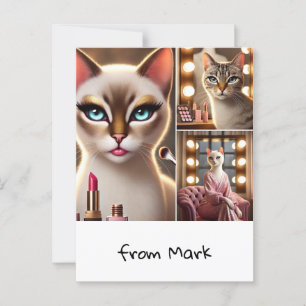 Carte Postale Chat avec équipement de maquillage