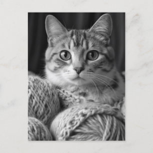Carte Postale Chat avec Fil noir et blanc