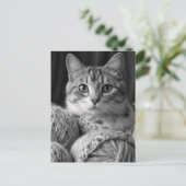 Carte Postale Chat avec Fil noir et blanc (Debout devant)