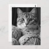 Carte Postale Chat avec Fil noir et blanc (Devant / Derrière)