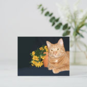 Carte Postale Chat avec fleurs (Debout devant)