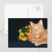 Carte Postale Chat avec fleurs (Devant / Derrière)