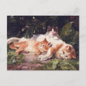 Carte Postale Chat avec Kittens Art (Devant)