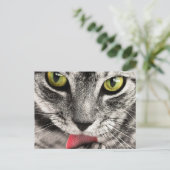 Carte Postale Chat avec la langue sortie Lèche  (Debout devant)