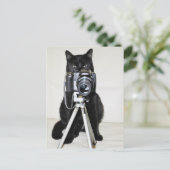 Carte Postale Chat avec l'appareil photo (Debout devant)