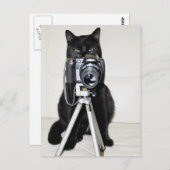 Carte Postale Chat avec l'appareil photo (Devant / Derrière)