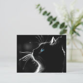 Carte Postale Chat avec lueur de rétroéclairage Sympathie de per (Debout devant)