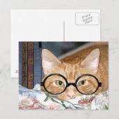 Carte Postale Chat avec lunettes et livres (Devant / Derrière)