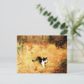 Carte Postale Chat avec oiseau dans la bouche (Debout devant)