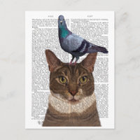 Chat avec pigeon sur tête