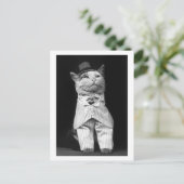 Carte Postale Chat avec un Casquette, 1906 (Debout devant)