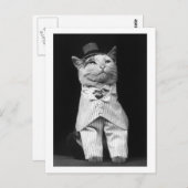 Carte Postale Chat avec un Casquette, 1906 (Devant / Derrière)