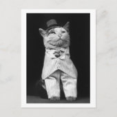 Carte Postale Chat avec un Casquette, 1906 (Devant)