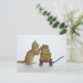 Carte Postale Chat avec wagon et boîtes (Debout devant)