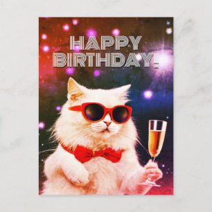 Carte Postale Chat blanc avec des lunettes de soleil pour souhai