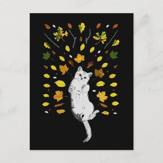 Carte Postale Chat blanc avec illustration des feuilles de chute (Devant)