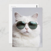 Carte Postale Chat blanc avec lunettes de soleil, félin cool, ch (Devant / Derrière)
