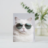 Carte Postale Chat blanc avec lunettes de soleil, félin cool, ch (Debout devant)