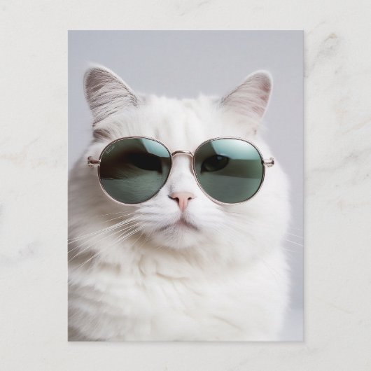 Carte Postale Chat blanc avec lunettes de soleil, félin cool, ch (Devant)