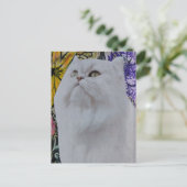 Carte Postale Chat blanc dans des fleurs Collage en techniques m (Debout devant)