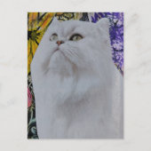 Carte Postale Chat blanc dans des fleurs Collage en techniques m (Devant)