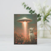 Carte Postale Chat blanc et un ovni (Debout devant)