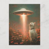 Carte Postale Chat blanc et un ovni (Devant)