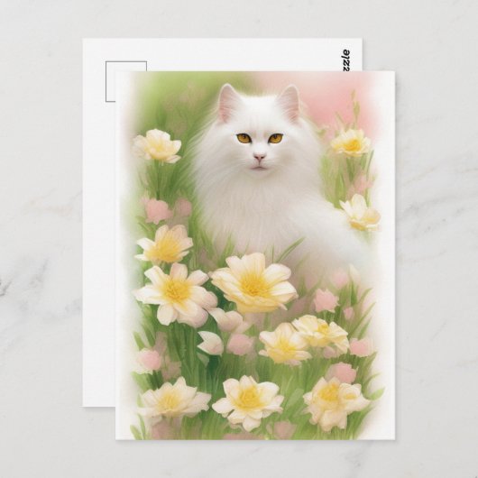 Carte Postale Chat blanc long (Devant / Derrière)