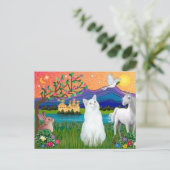 Carte Postale Chat Blanc - Pays Fantastique (Debout devant)