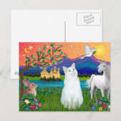 Carte Postale Chat Blanc - Pays Fantastique (Devant / Derrière)