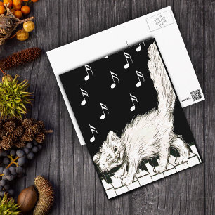 Carte Postale Chat blanc sur clés de piano