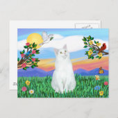 Carte Postale Chat Blanc - Vie Lumineuse (Devant / Derrière)
