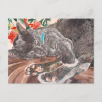 chat bleu russe poil court gris anglais