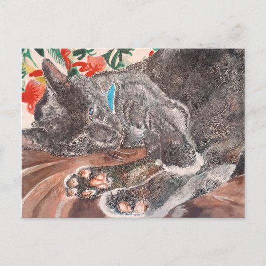 Carte Postale chat bleu russe poil court gris anglais (Devant)