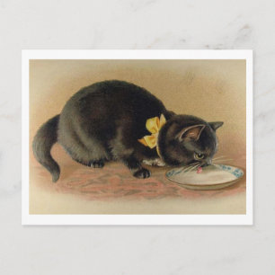 Carte Postale Chat Boire du lait d'un bol Vintage