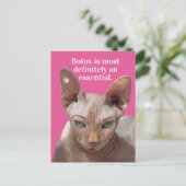 Carte Postale Chat-Botox Rincé Drôle Est Essentiel (Debout devant)
