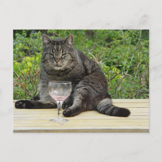 Carte Postale Chat "Bram" sur la table avec un verre de vin (Devant)