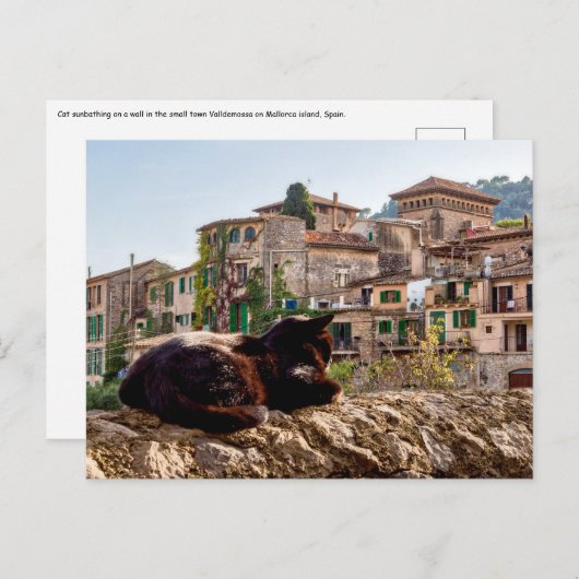 Carte Postale Chat bronzage sur un mur - Valldemossa, Majorque (Devant / Derrière)