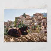Carte Postale Chat bronzage sur un mur - Valldemossa, Majorque (Devant)