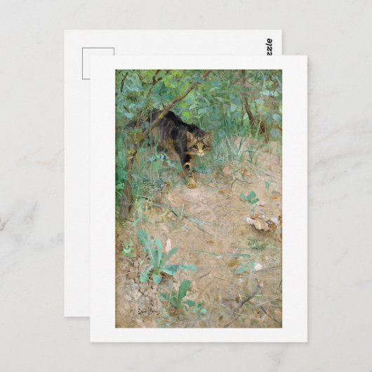 Carte Postale Chat, Bruno Liljefors (Devant / Derrière)