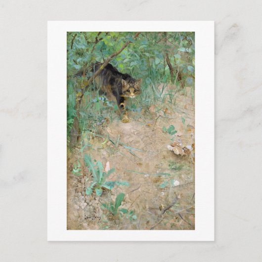 Carte Postale Chat, Bruno Liljefors (Devant)