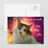 Carte Postale Chat calico adorable mignon (Devant / Derrière)