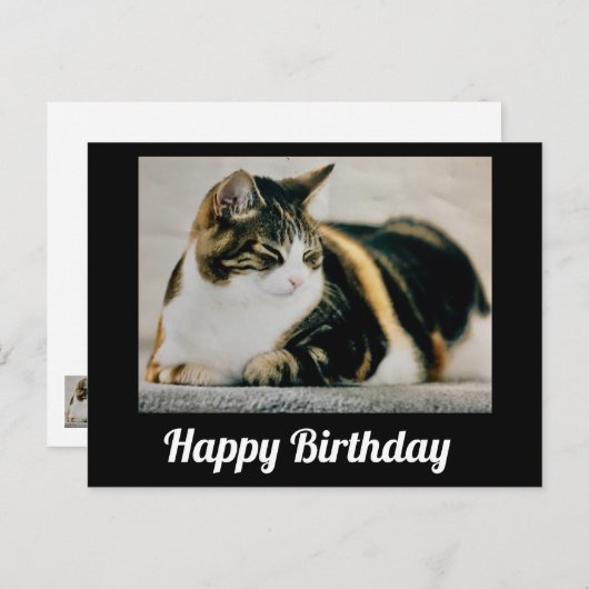 Carte Postale Chat calico endormi Joyeux Anniversaire (Devant / Derrière)