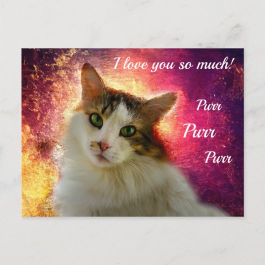 Carte Postale Chat Calico Mignon Adorable (Devant)