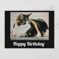 Chat calicot endormi Joyeux Anniversaire